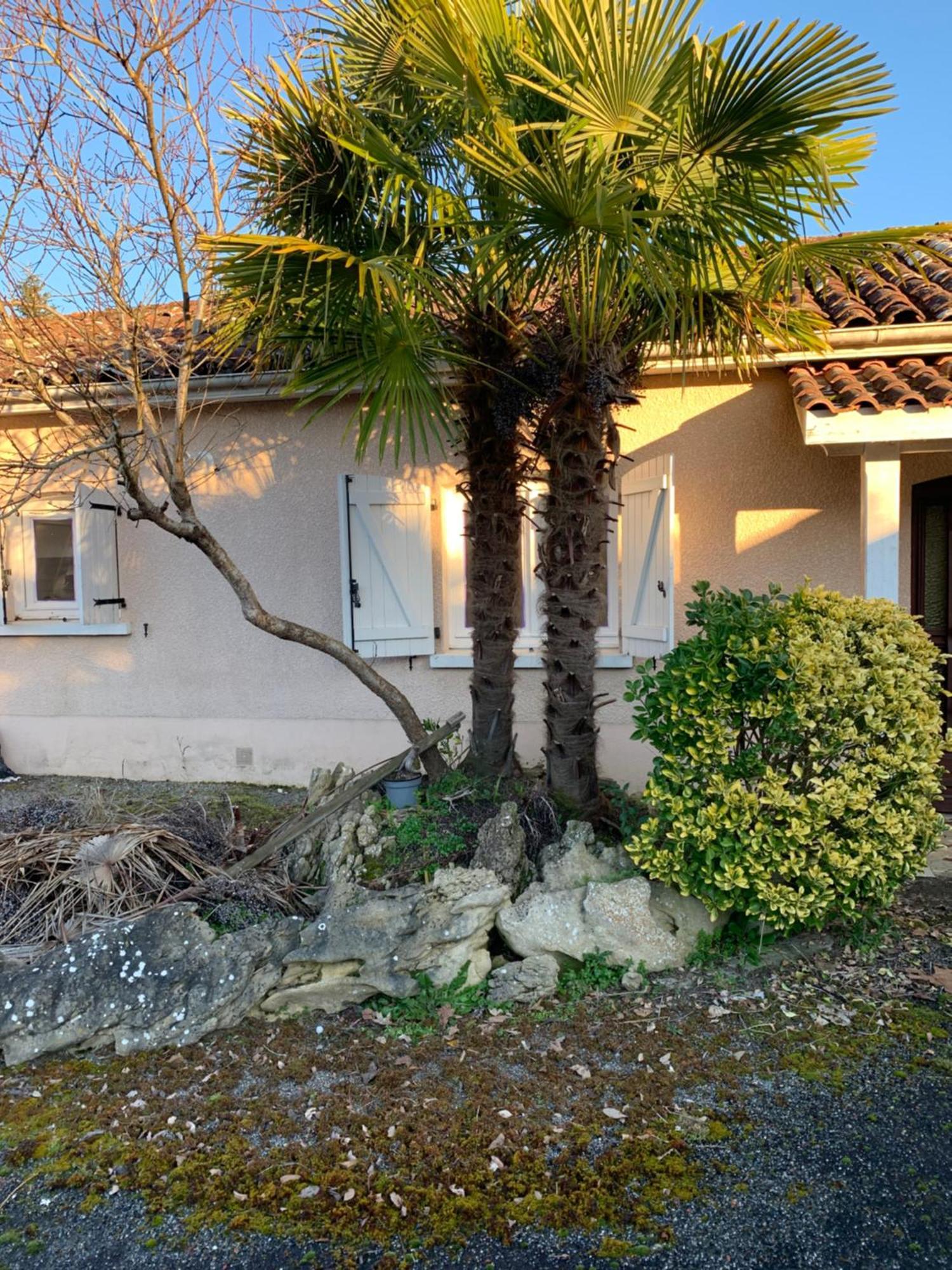 Petite Maison Dans Un Village Du Gers Sabazan Dış mekan fotoğraf
